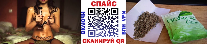 Купить  Мышкин  Бутират буратино 