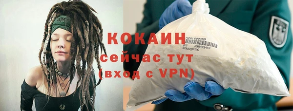 ECSTASY Богданович