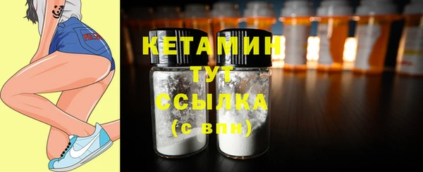 ECSTASY Богданович