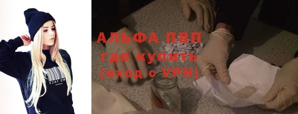 ECSTASY Богданович