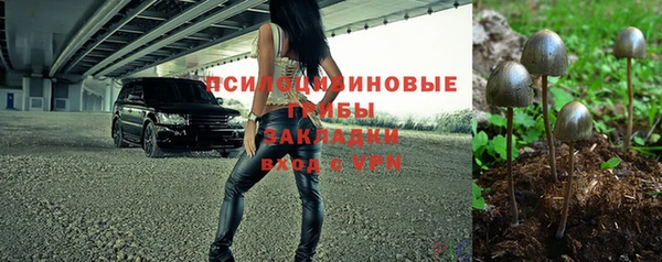 ECSTASY Богданович