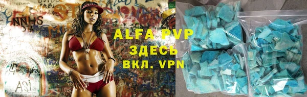 ECSTASY Богданович