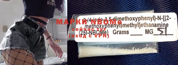 ECSTASY Богданович